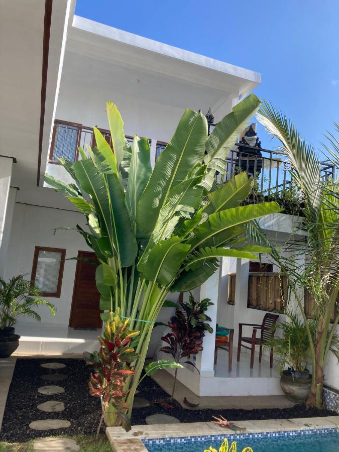 Villa Iris Homestay 乌鲁瓦图 外观 照片